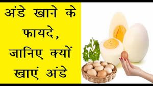 Benefits and uses of eating eggs in hindi