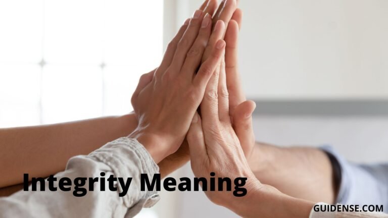 Integrity Meaning