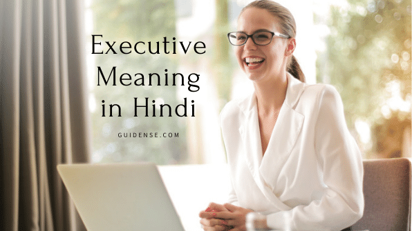 Executive Meaning