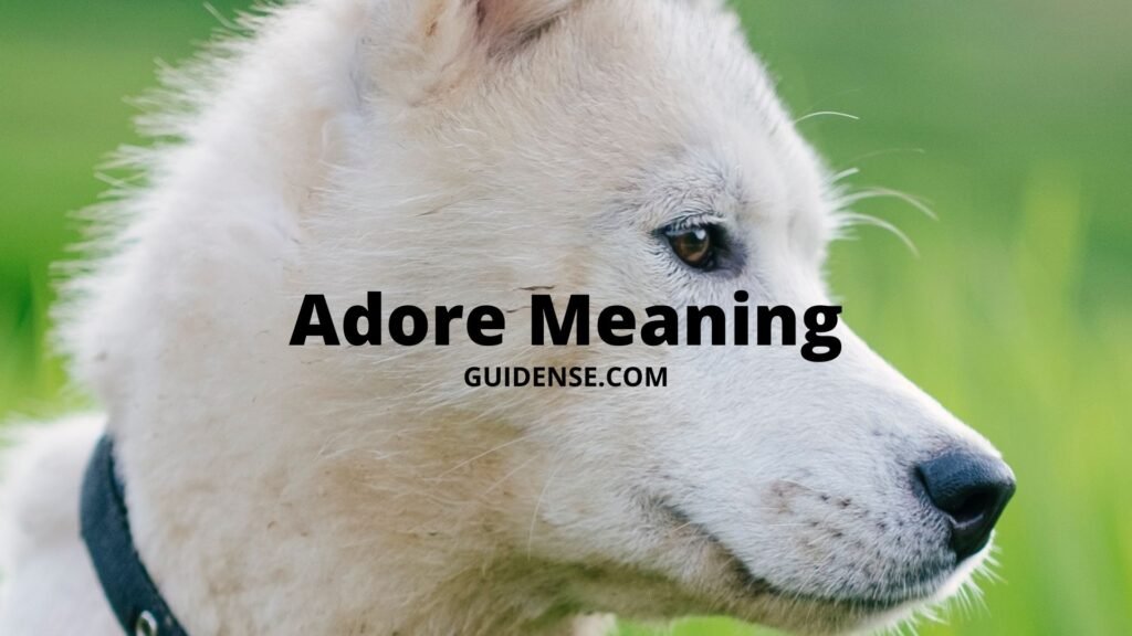 Adore Meaning