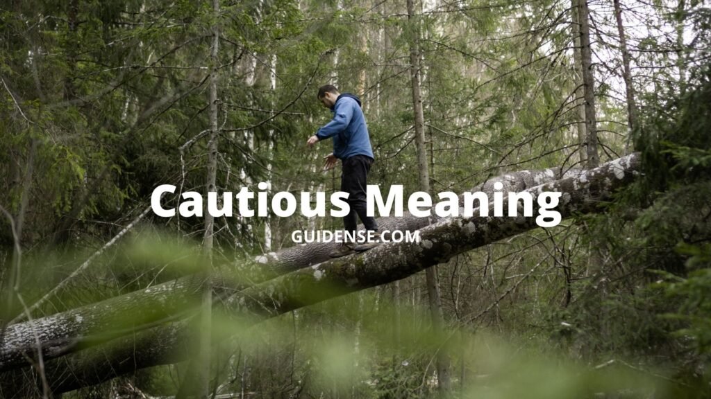Cautious Meaning