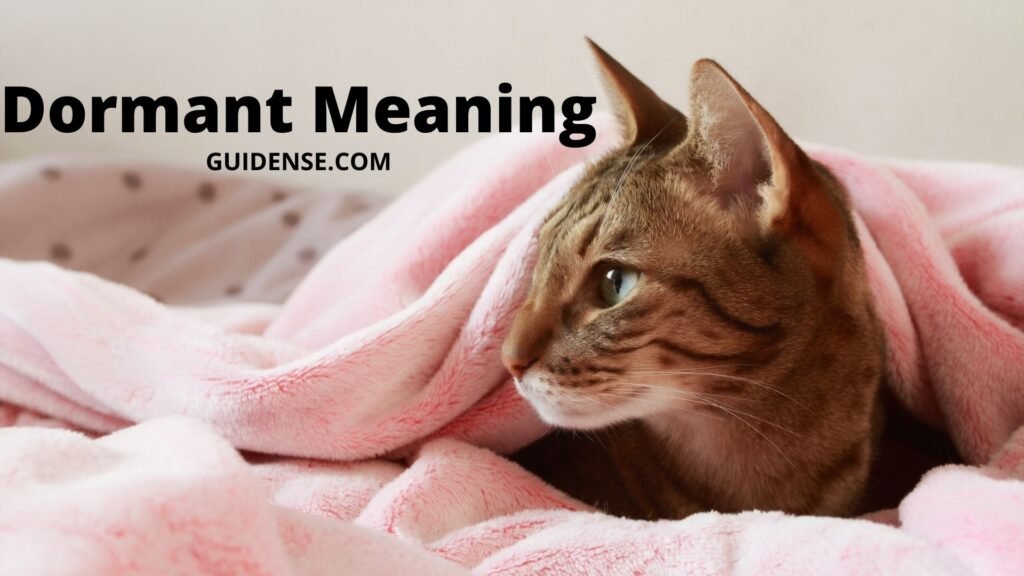 Dormant Meaning