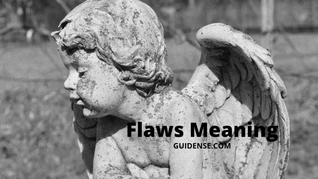 Flaws Meaning