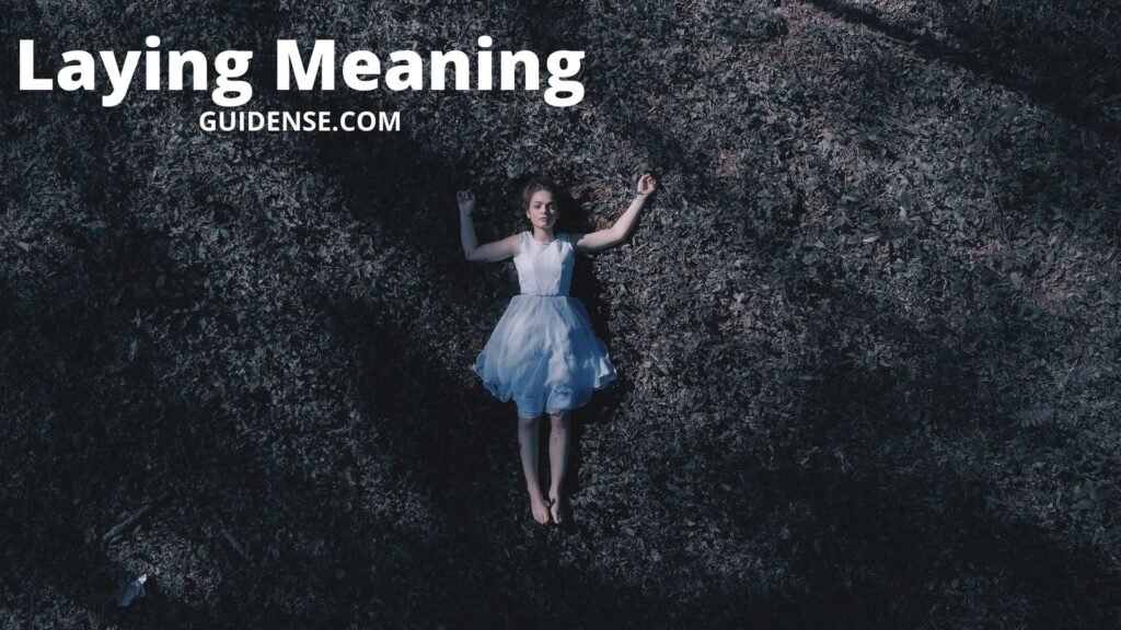 Laying Meaning
