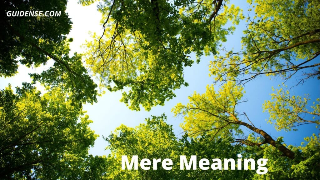 Mere Meaning