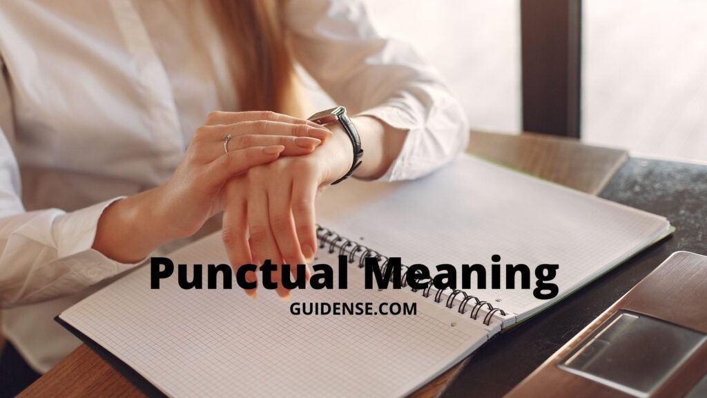 Punctual Meaning