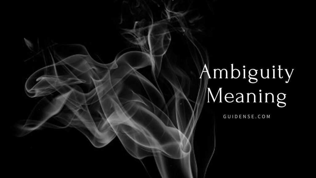 Ambiguity Meaning