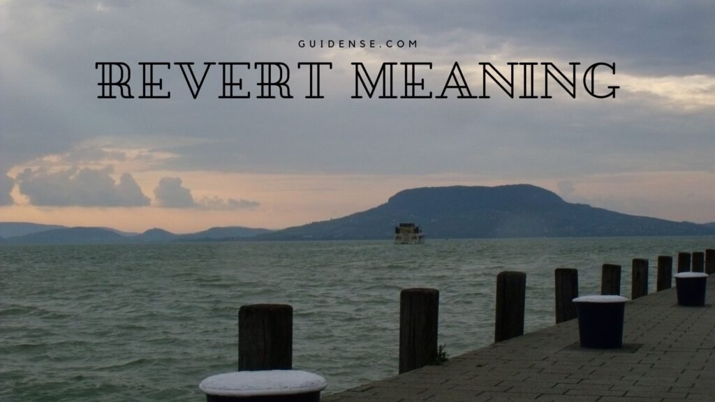 Revert Meaning