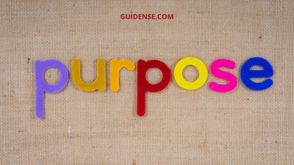 Purpose Meaning