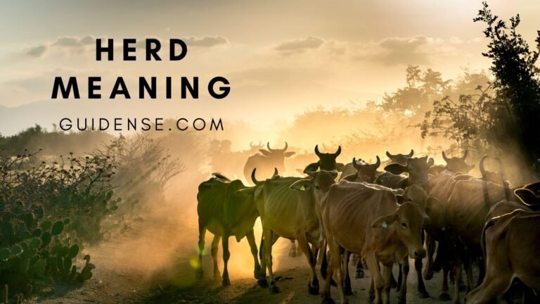 Herd Meaning