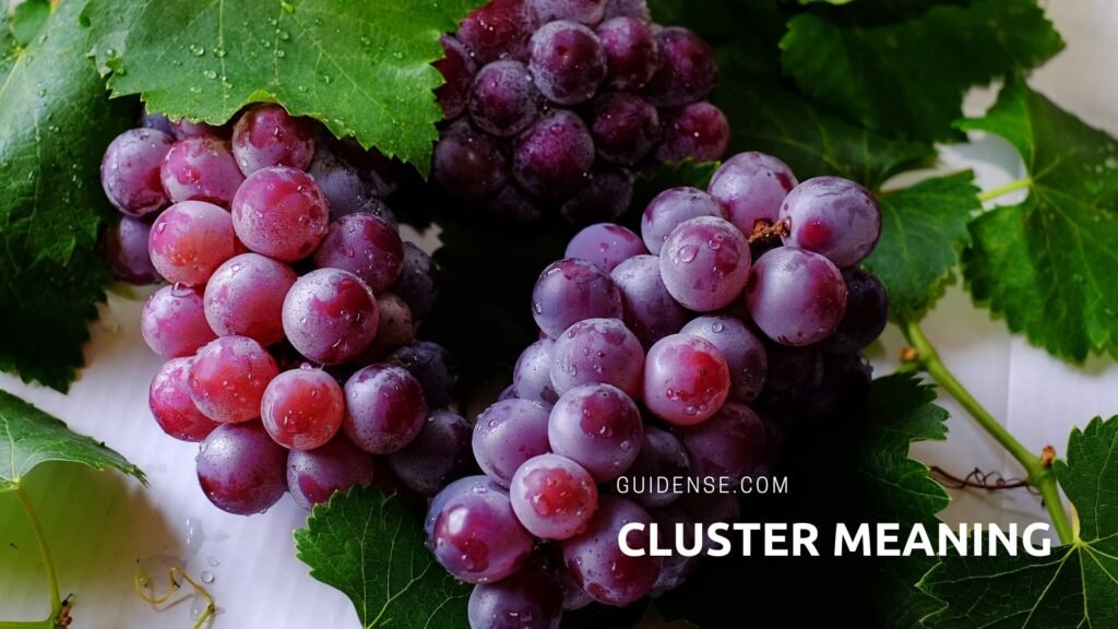 Cluster Meaning