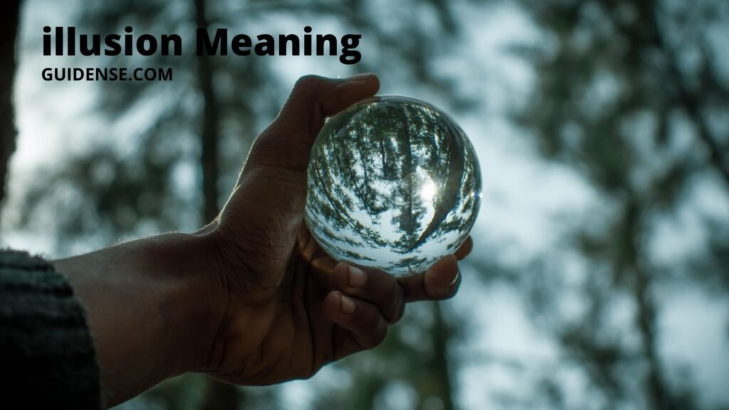 illusion Meaning