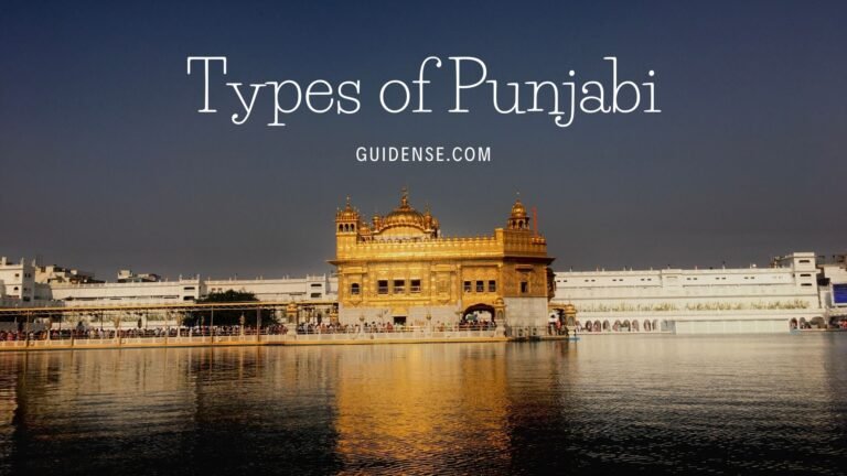 Types of Punjabi